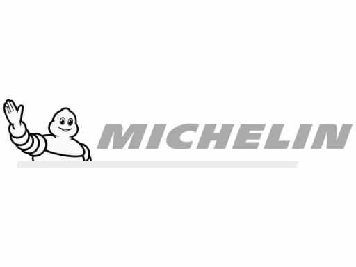 MICHELIN