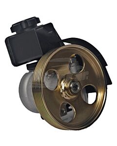 Bombas De Direccion Hidraulica PEUGEOT 206 207 NAFTA POLEA 6 POLEA 6 C. Ø 137MM