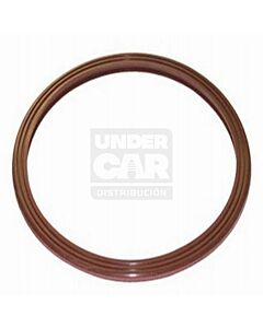 O RINGS BOMBAS  VW Gol - Santana - F1000 96> - R9