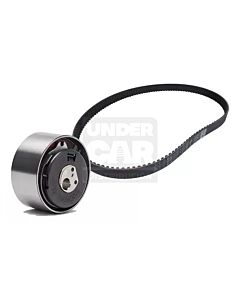 KIT DE DISTRIBUCION FIRE 1.4 1.3 TENSOR AUTOMATICO K015627 Fi55226056 FI55260015